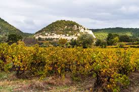 Domaine Du Parandou Cave Grangeon Cotes Du Rhone Villages Sablet