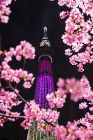 350 Scenery At Japan Ideas In 2021 Jepun Pelancongan Japan Travel