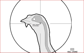 printable turkey target http www michigan gov documents dnr turkey target 350467 7 pdf source govdelivery printable turkey shooting targets turkey hunting