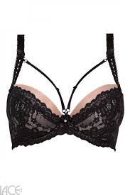 Bh bank autorité d'enregistrement déléguée (aed). Ewa Michalak Push Up Bh F J Cup Ewa Michalak 1299 Black Lace De