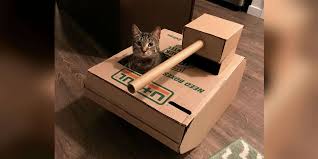 Cat in a cardboard box part 2. Man Makes Cardboard Tank For Friend S Cats And They Love It The Dodo