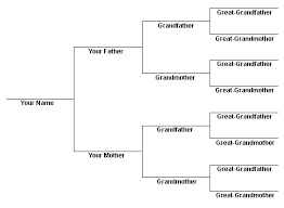 Family Pedigree Chart Jasonkellyphoto Co