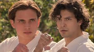 Cobra kai story similarities