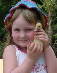 Bringing Children (and Services) Back to Nature in Early Childhood; My  experience.