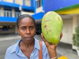 Mango Season In Jamaica: The Complete Guide – How We Are In The Tropics