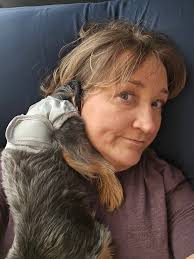 Potty Training Yorkies with Diapers