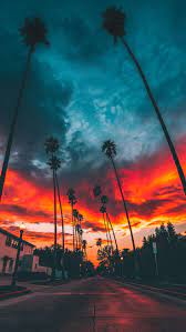 Silhouette Of Tree Landscape City Vertical 1080p Wallpaper Hdwallpaper Desktop Estetika Alam Pemandangan Pemandangan Anime