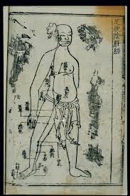 File Acupuncture Chart Liver Channel Of Foot Jueyin