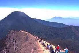 Pengunjung Adalah Raja Taman Nasional Gunung Gede Pangrango National Park