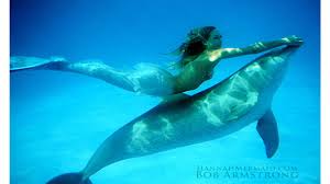 Image result for real mermaid