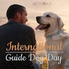 On this day there is different assistance to pets, who live in shelters. International Guide Dog Day Raintree Pet Resort Medical Center Vet Clinic In Scottsdale Phoenix Az