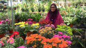Dan kehadiran anda amat di hargai ke kedai kami #postage setiap hari kecuali cuti jumaat sabtu area terengganu. Nursery Plant Sungai Buloh Banyak Pokok Bunga Cantik Dan Murah