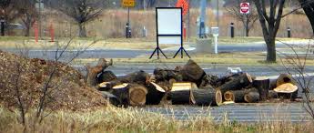 Tens of thousands of products if you have some free time this winter and are looking for a fun project to do with your kids, grandkids, nieces or nephews, be sure to give this one a shot. Builders Inc Free Firewood And Mulch From Sedgwick Facebook