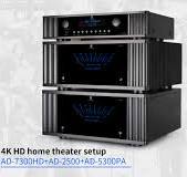 Chiny Tonewinner Custom 2.0 1000W monofoniczny potężny ...