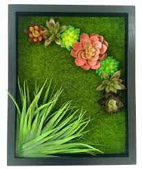 Pin Su Cornici Moss