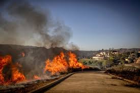 Palisades Fire