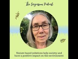 Sargassum Podcast E9: Nature based solutions and social impacts of  Sargassum w/ Dr. Debbie Bartlett