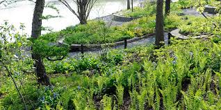Collection by deerfield area historical society. Native Plant Garden Chicago Botanic Garden