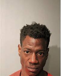 ᐅ Illinois Criminal Records 2009-2026