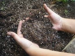 Potting soils are specifically made to be neutral: Does Potting Soil Go Bad Do Not Disturb Gardening