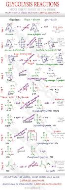393ca0ed79d7d4c8c8024b826676fca0 Jpg 1 069 3 073 Pixels Mcat Study Biochemistry Notes Science Chemistry