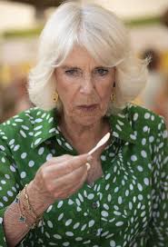 Queen Camilla attends Bee Garden Party as she shines a light