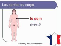 There are twelve pictures at the top of the activity board. French Lesson 33 Body Parts In French Vocabulary Les Parties Du Corps Partes Del Cuerpo En Frances Youtube