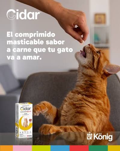 CIDAR COMPRIMIDO GATO 3 A 6KG x60 días — foto 2