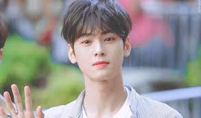 wts astro cha eunwoo photocards. Top 3 Male K Pop Visuals Japan Agrees On With South Korea Kpopmap