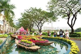 Image result for hoa xuan images