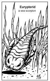 Some of the coloring page names are scorpion coloring for kids, scorpion outline drawing at getdrawings, scorpion coloring for kids scorpion, dangerous scorpion coloring for kids, scorpion coloring, scorpion coloring coloring to and, scorpion coloring, big king scorpion coloring, scorpion inked by upcoraul on deviantart, scorpion. Images In Time Educational Resources For K 16