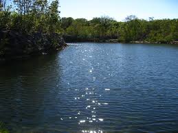 It's also home to one of the country's largest tracts of west indian tropical hardwood hammock. Dagny Johnson Key Largo Hammock Botanical State Park 024