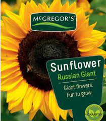 Two of the largest atomic submarines in the world arhangelsk and severstal (named after also he says it's absurd to try making a museum from such a giant. Biji Bunga Matahari Russian Giant Sunflower Shopee Indonesia