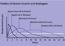 insulin therapy for type 2 diabetes rescue augmentation