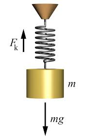 Spring Force Formula Definition Concepts And Examples