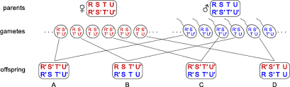 Relatedness