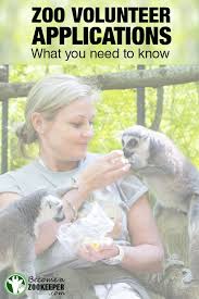 Zoo Volunteer Applications What You Need To Know Become A Zookeeper Volunteer Application Zoo Veterinarian Volunteer