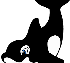 Download Orca Clipart Octonauts Cartoon Orca Png Full Size Png Image Pngkit Seeking more png image whale shark png,blue whale png,whale tail png? download orca clipart octonauts