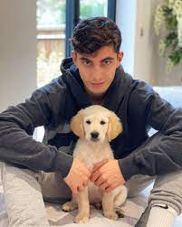 pin on kai havertz