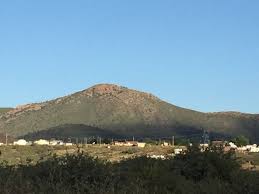 How Does Bruce Do Business?