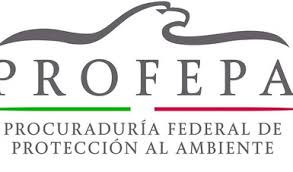 Fundaciones que ayudan la deforestacion. Implementan Conafor Y Profepa Acciones Para Combatir La Deforestacion En Mexico Procuraduria Federal De Proteccion Al Ambiente Gobierno Gob Mx