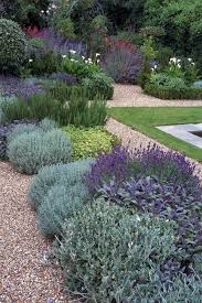 Lavendel Mit Anderen Grunen Und Silbergrauen Pflanzen So Schone Kombination Mit Bildern Vorgarten Landschaftsbau Landschaftsbau Ideen Vorgarten