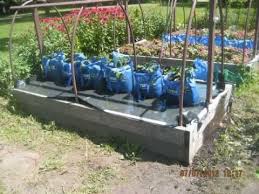 This Is Incredible The Self Watering Grow Bag Grow System You Got To See This Grow Bags Self Watering Organic Container Gardening
