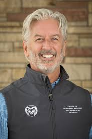 VHS Community: Veterinary Continuing Education team looks forward to 2024