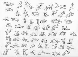 Pin On Cats The physical expression of warrior ii pose represents the focused attention and warrior strength required to prepare for battle. pin on cats