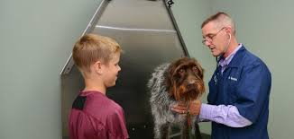 Medical district veterinary clinic at illinois. Veterinarian In Crystal Lake Illinois Mchenry County S Leading Small Animal Veterinary Hospital