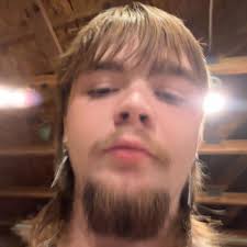 JDM importing websites like CarsFromJapan, Beforward, and JDM Expo