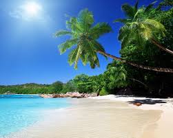 If you're in search of the best desktop beach backgrounds, you've come to the right place. 1280x1024 Beach Wallpapers 4k Hd 1280x1024 Beach Backgrounds On Wallpaperbat