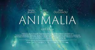 دانلود زیرنویس فیلم Animalia 2023 - بلو سابتايتل 