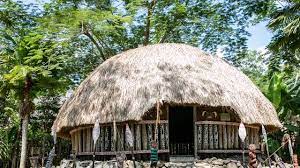 Honai sengaja dibangun mungil dan tak berjendela, dengan tujuan untuk menahan hawa dingin pegunungan papua, tepatnya di lembah baliem, tempat. 2 Rumah Adat Honai Keunikan Gambar Sejarah Struktur